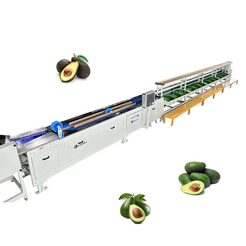 images/1768184459799Zhengzhou-First-Industry-Co-Ltd- (1).jpg